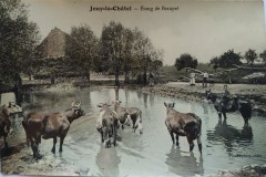 L'étang de Beaupré