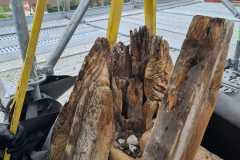 IMG-20231207-WA0041