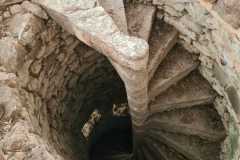 IMG-20231207-WA0074