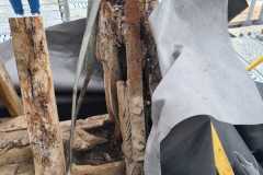 IMG-20231207-WA0095