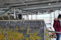 IMG-20231207-WA0101