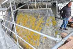 IMG-20231207-WA0102
