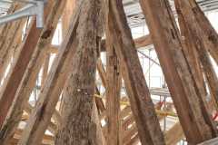 IMG-20231207-WA0139