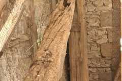 IMG-20231207-WA0151