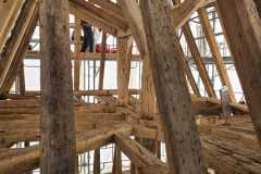 IMG-20231207-WA0153