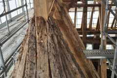 IMG-20231207-WA0155