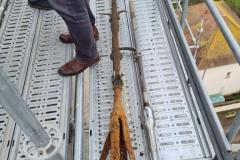 IMG-20231207-WA0171