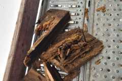 IMG-20231207-WA0191