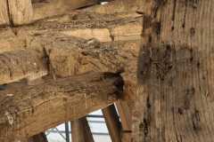 IMG-20231207-WA0209