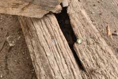 IMG-20231207-WA0211