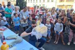 IMG-20231207-WA0230
