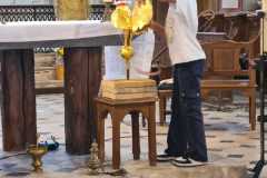IMG-20231207-WA0267