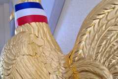 IMG-20231207-WA0279
