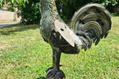 IMG-20231207-WA0303